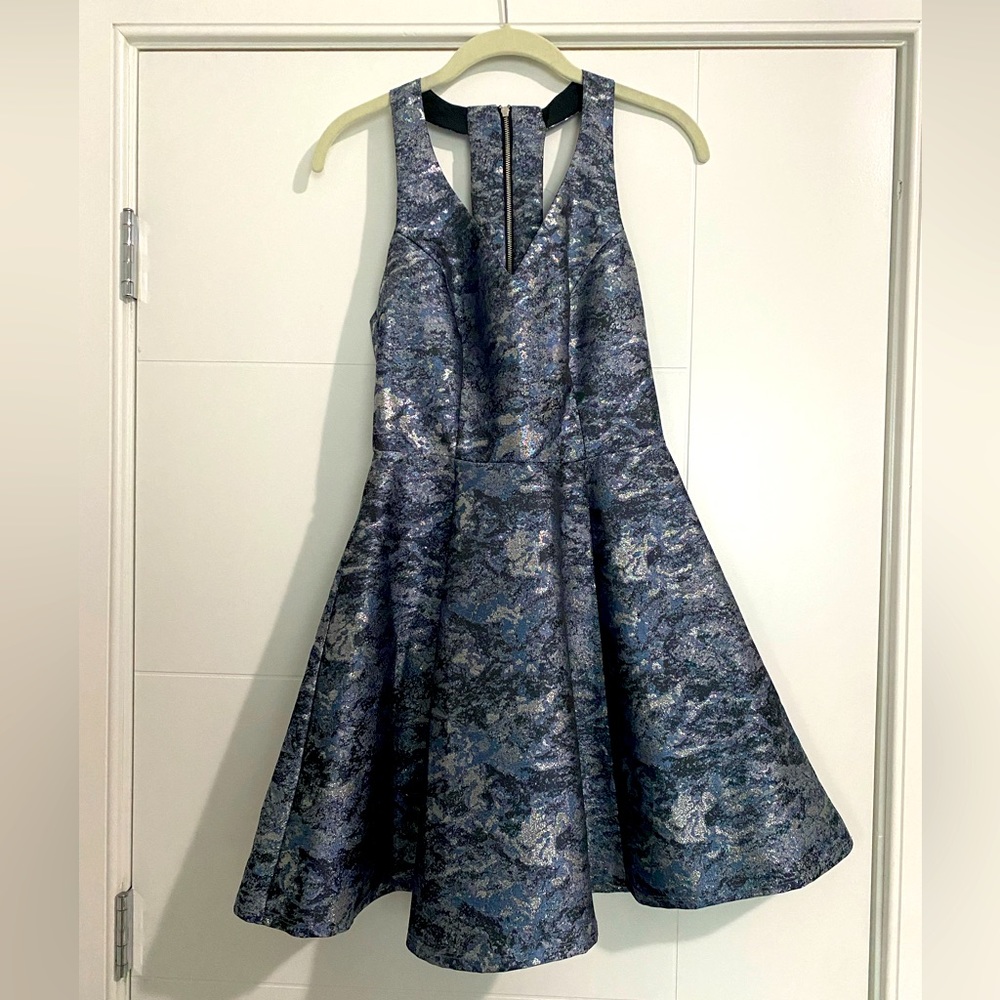Nordstrom Design Lab fit and flare A-line chrome dress
